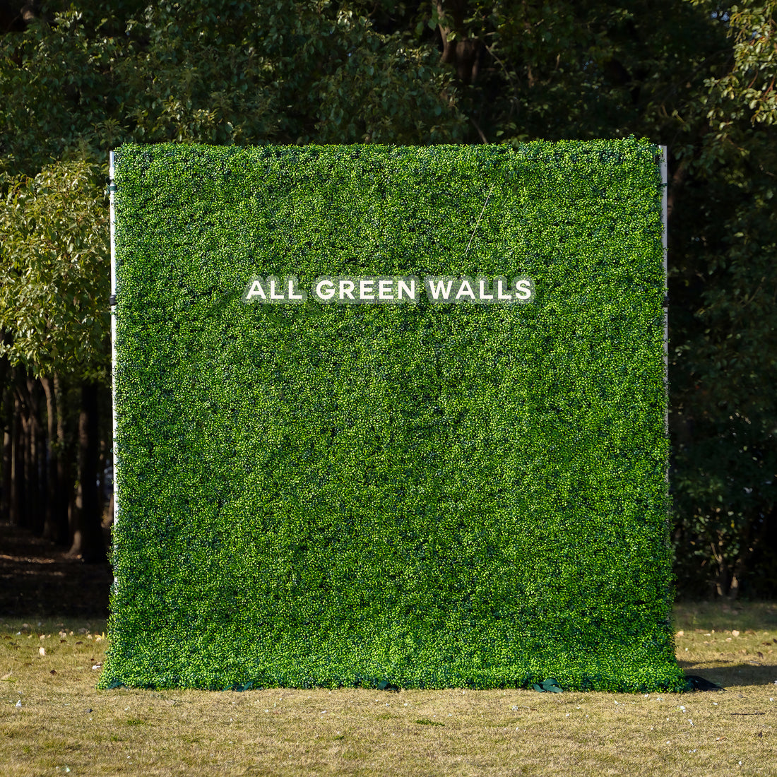 Seed：Fabric Rolling Up Artificial Green Wall - Easy Decor for Home, Hotel, Cafe, Salon