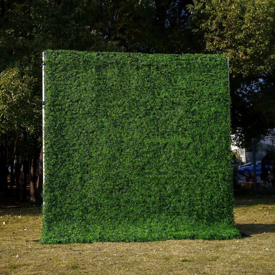 Seed：Fabric Rolling Up Artificial Green Wall - Easy Decor for Home, Hotel, Cafe, Salon