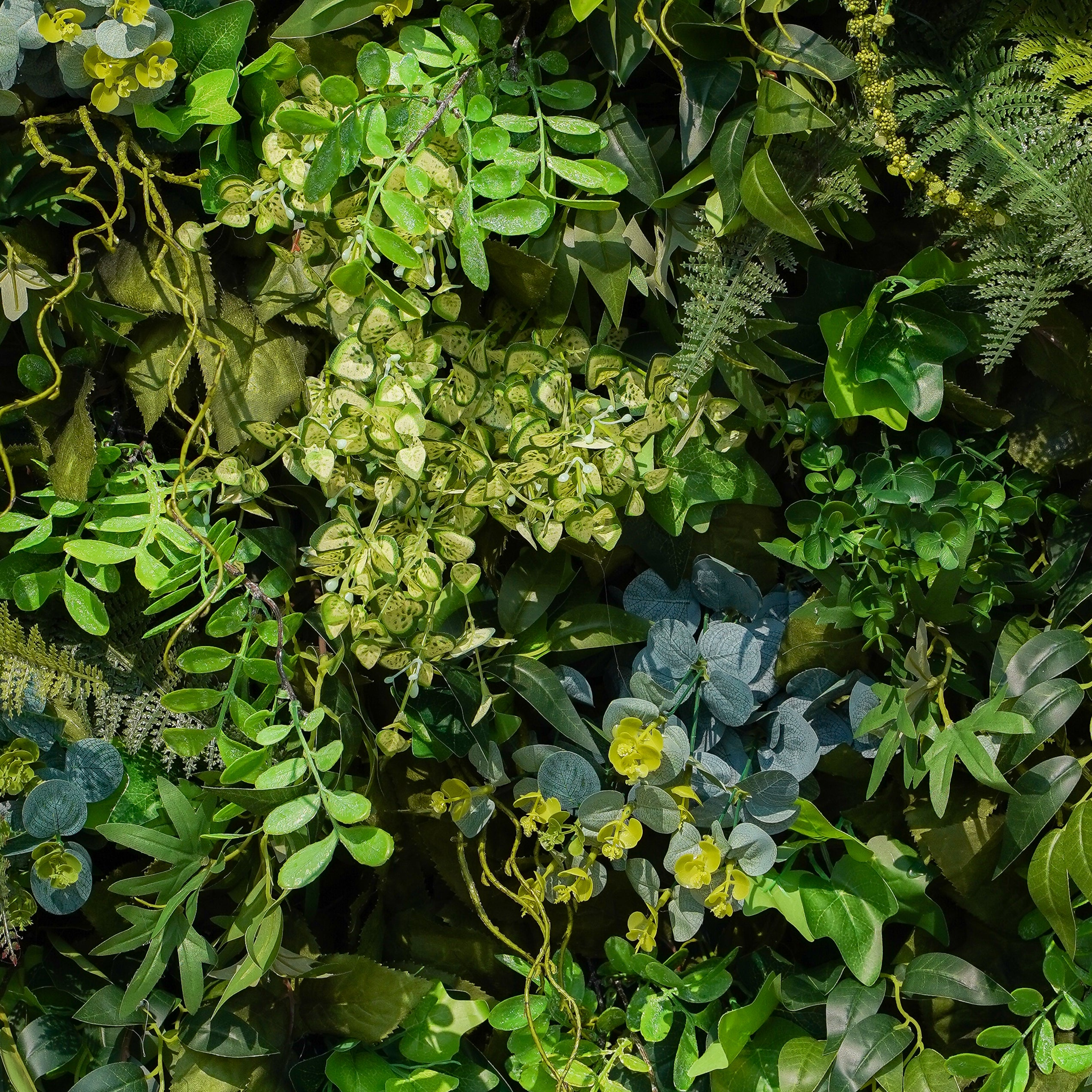 Olive：Fabric Rolling Up Artificial Green Wall - Easy Decor for Home, Hotel, Cafe, Salon