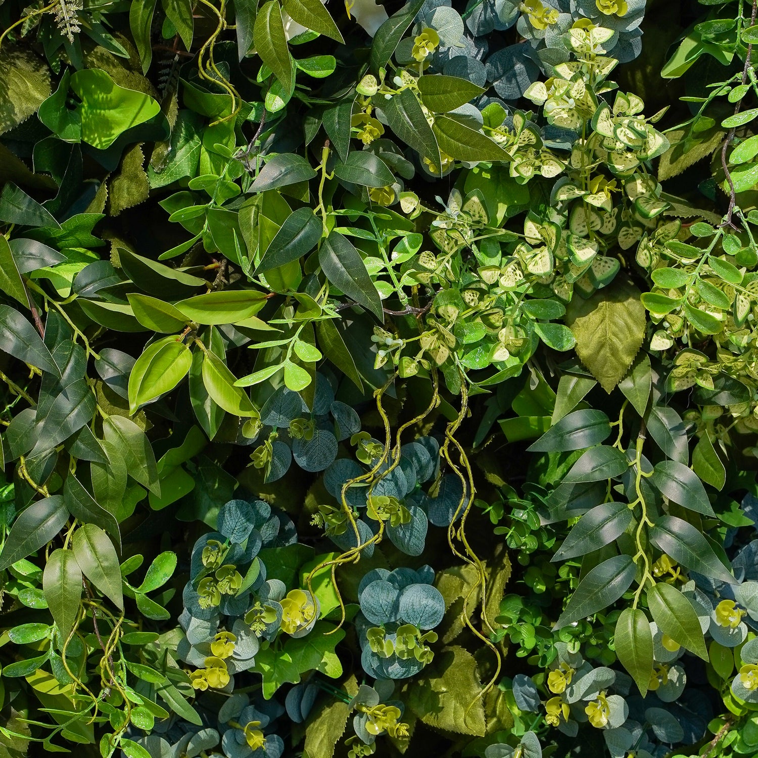 Olive：Fabric Rolling Up Artificial Green Wall - Easy Decor for Home, Hotel, Cafe, Salon
