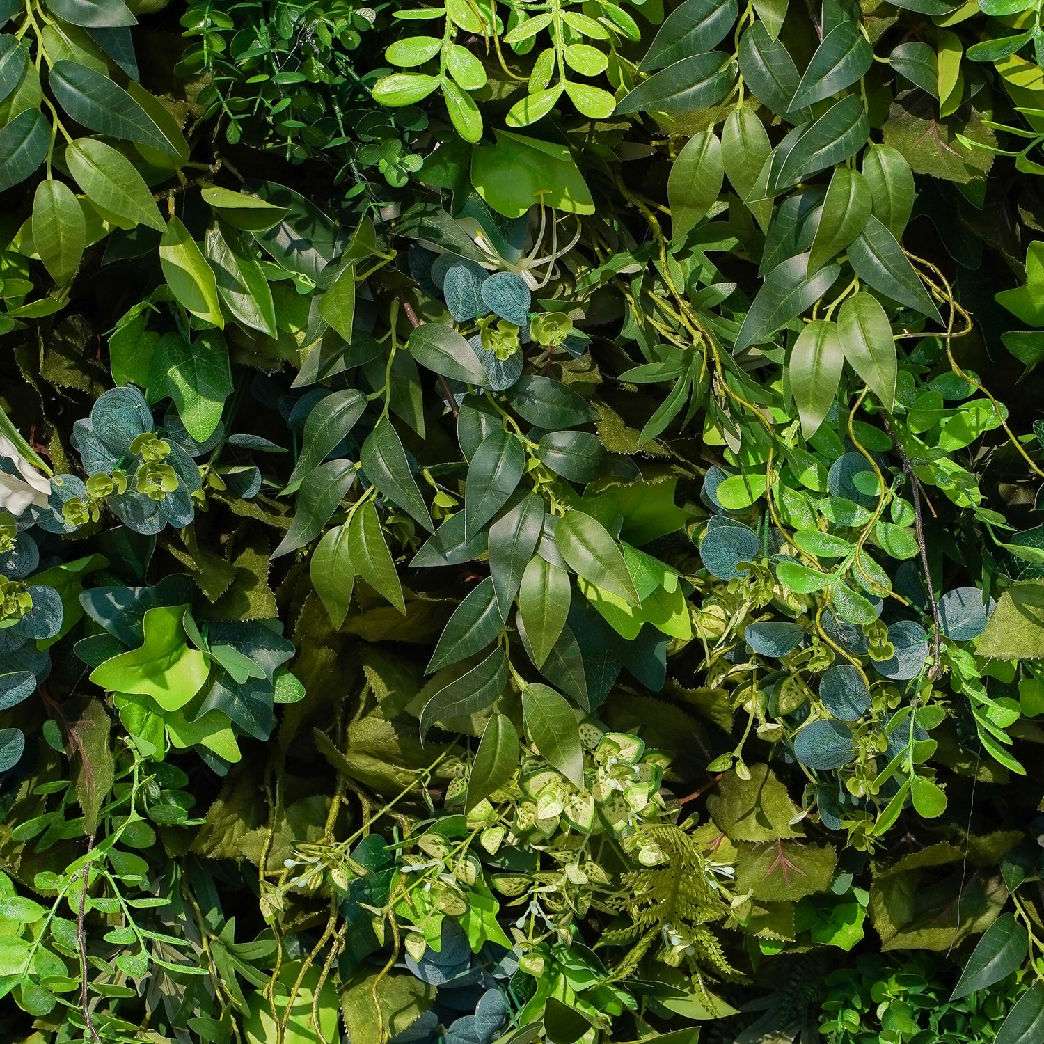Olive：Fabric Rolling Up Artificial Green Wall - Easy Decor for Home, Hotel, Cafe, Salon