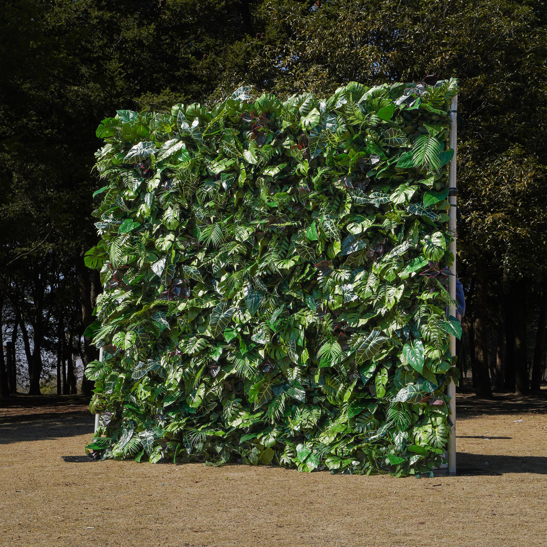 Sage：Fabric Rolling Up Artificial Green Wall - Easy Decor for Home, Hotel, Cafe, Salon